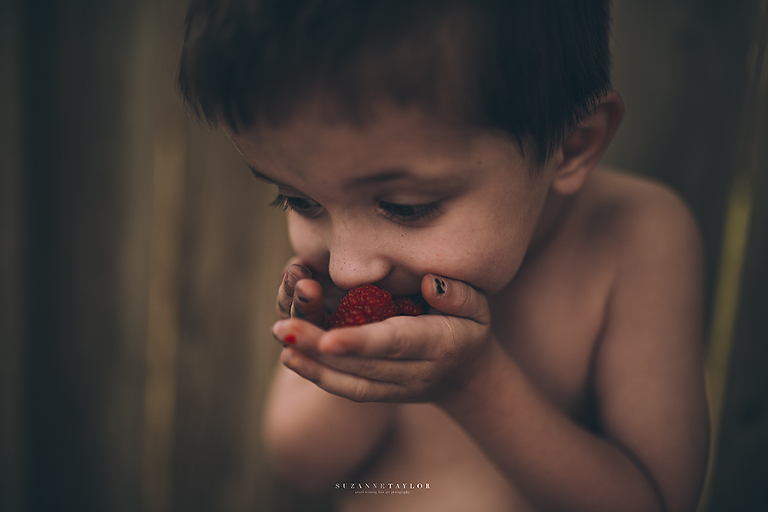 A little boy holds raspberries in his hands and smells them in during summer