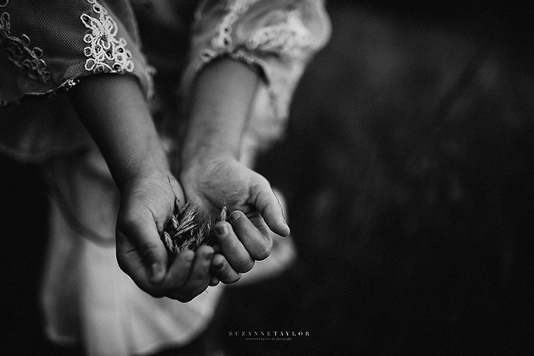Little girls hands in black and white captured during a mini session near Red Deer, Alberta