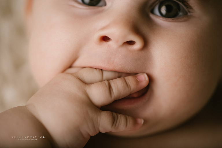 Baby photography in Red Deer by Suzanne Taylor Photography